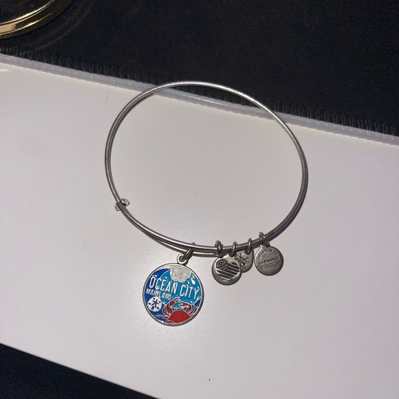 Alex & Ani Bracelet Set of 6 Bangles with Charms